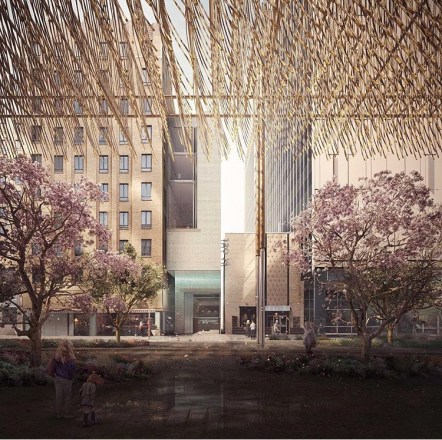 Blank Studio's Jacaranda Avenue.